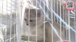 ドームで『北海道ペット＆ファミリーEXPO』動物を飼っている人だけではなくこれから飼いたい人も楽しめるイベント開催「わんちゃんと一緒に入れるイベントなので楽しめて嬉しい」_札幌市