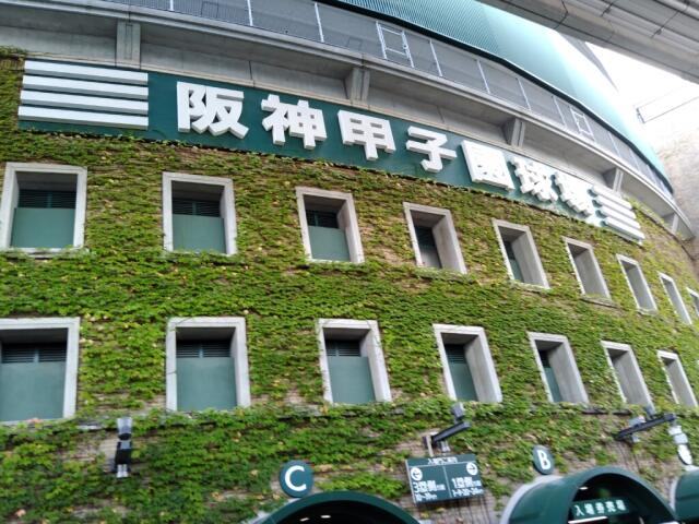 森下翔太の凡退 阪神連敗の問題点