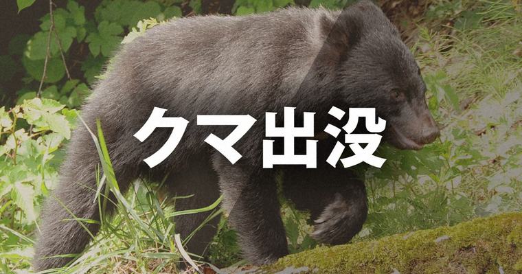 浜松の山林でクマに襲われ男性が軽傷 森林伐採の調査中に遭遇