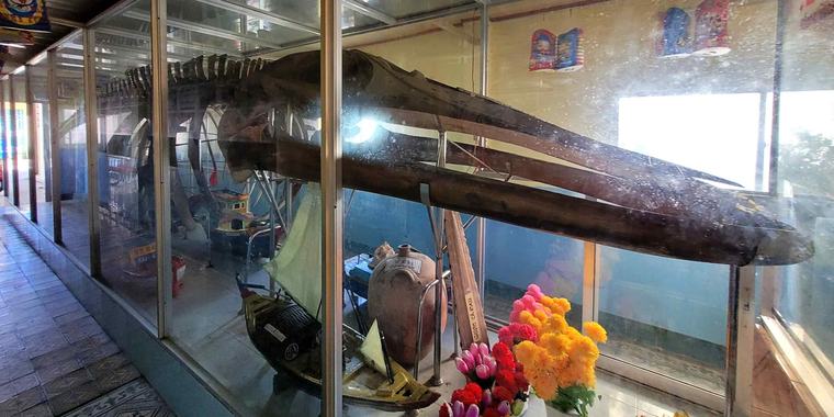 Vietnam's whale temples reveal secrets of the sea