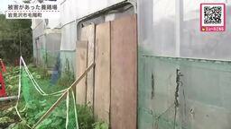 養鶏場でカモ20羽がヒグマに襲われ死ぬ―ニワトリなどが襲われる被害が2件があったばかり…同一個体か…市は電気柵設置へ＜北海道岩見沢市＞