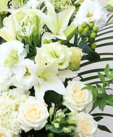 漫画家・安部慎一さんが死去 76歳