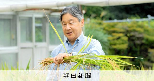 天皇陛下が皇居で稲刈り もち米など20株を収穫、作柄は平年なみ