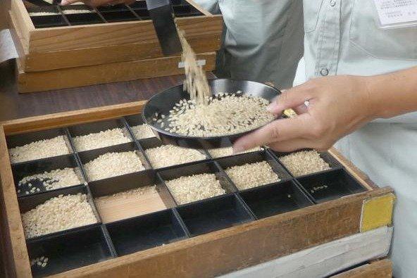 ［2026年産米］ＪＡ佐渡が初検査、1等米比率85％ 早生品種「こしいぶき」や酒米「五百万...