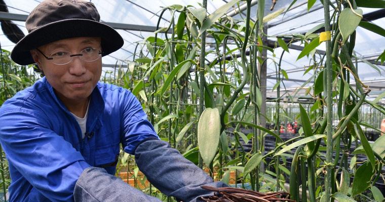 経済プラス:九州電力がバニラ生産? 国も認めた「へんな人」が描く将来像