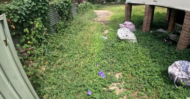 草むらに埋まった“大量のレンガ”→掘り起こして庭に敷いたら…… 雰囲気ガラリ「ビックリです」「愛着が湧きますね」