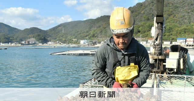 広島のカキ水揚げは11月2日解禁 大量死した昨季より13日遅く