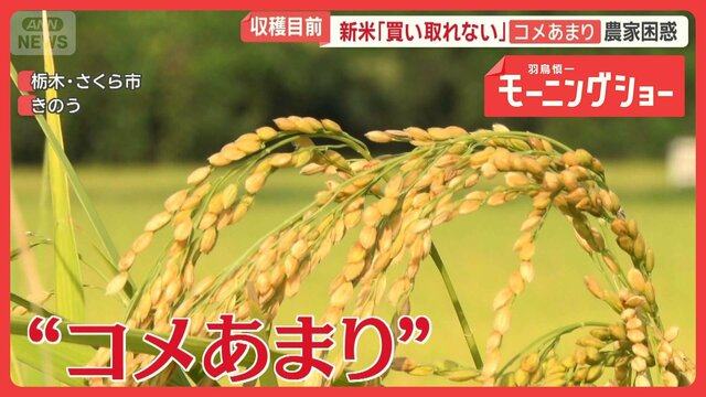 業者「新米買い取れない」農家困惑