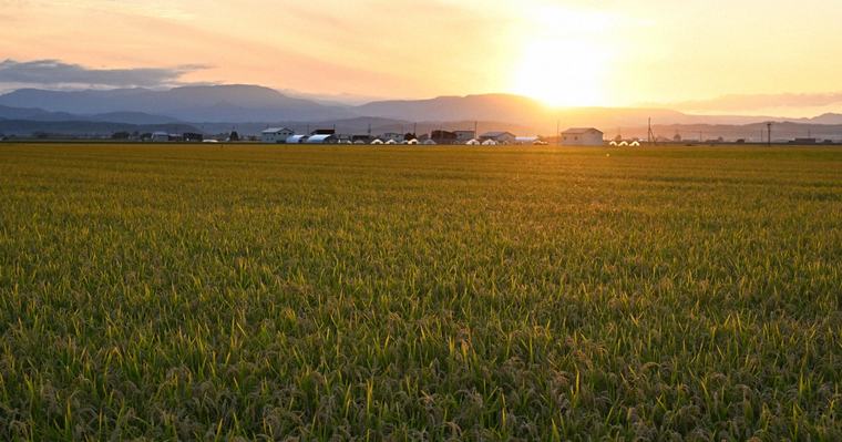 北海道、夏から秋へ 季節の始まりを感じる風景切り取り